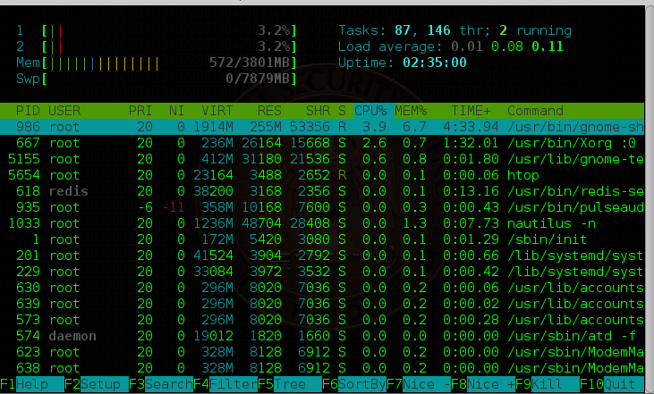 htop process