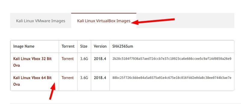 kali linux virtual box image